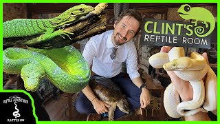 CLINTS REPTILE ROOM GRAND OPENING [upl. by Donavon]