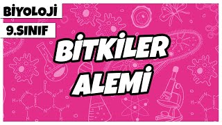 9 Sınıf Biyoloji  Bitkiler Alemi [upl. by Rodgiva]