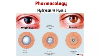 Cause of Mydriasis  Dilated and fixed pupil [upl. by Bridges946]