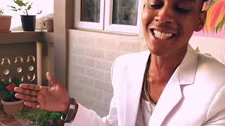 Ti Mika  Ti Madame la  clip Officiel [upl. by Levi22]