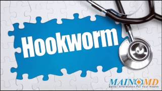 Hookworm ¦ Treatment and Symptoms [upl. by Laersi]