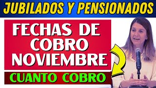 💲 CUANDO Y CUANTO COBRO EN NOVIEMBRE Jubilados y Pensionados  PNC de ANSES [upl. by Imotih]