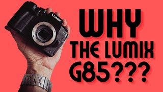 The Panasonic G85 In 2024  Yes 100 [upl. by Nnaeoj305]