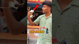 CHOTU KA RAT 🐀 FRIEND shorts stuartgamer01 [upl. by Adnical]