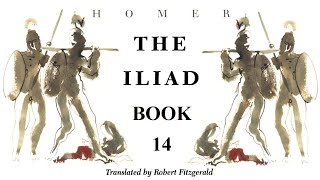 The Iliad  Book 14  Full Audiobook [upl. by Ydnamron]