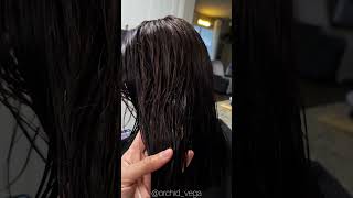 HAIRDYE SHAMPOO  Nova Hair Review  Orchid Vega [upl. by Eidlog]