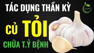 Tác Dụng THẦN KỲ của Tỏi bạn chưa biết I Vị thuốc rất tốt với sức khỏe [upl. by Seravaj]