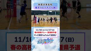 春高バレー2024意気込み動画 [upl. by Napas]