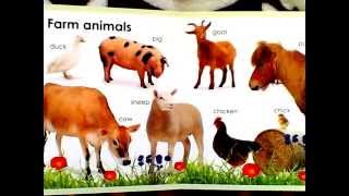 Baby Book My First Animals [upl. by Enelez]