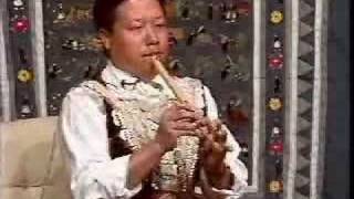 Hmong Flute Performance [upl. by Luhar]