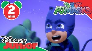 PJ Masks Super Pigiamini  Il Gatto più coraggioso  Disney Junior Italia [upl. by Birecree224]