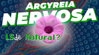 LS Natural Argyreia nervosa  Guia da Floresta [upl. by Roselba]