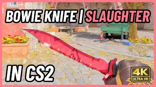 ★ CS2 Bowie Knife Slaughter  CS2 Knife InGame Showcase 4K [upl. by Eadnus]