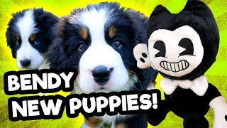 LP Movie BENDY GOT TWO NEW PUPPIES🐶 [upl. by Kcolttam867]