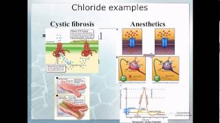 Pathophysiology 10 Electrolyte imbalace [upl. by Crista909]