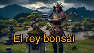 12 cosas que no sabias junipero procumbens nana mini documental sonare El rey del bonsai [upl. by Doscher]