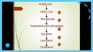 Cholesterol metabolism [upl. by Emalia]