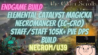 Static Rotation Elemental Catalyst Necromancer 103k PVE DPS Build updated U39 Necrom [upl. by Sirtimed670]