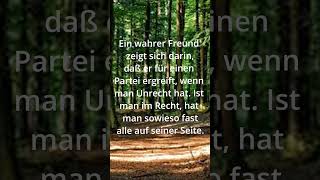 Zitate zum Nachdenken 48 ☘ [upl. by Valerlan604]