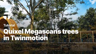 Import Quixel Megascans trees in Twinmotion  Twinmotion Tutorial [upl. by Bastian729]