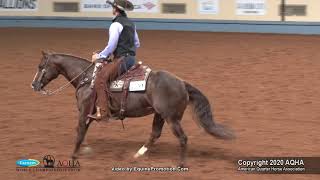 2020 AQHA Senior Ranch Riding [upl. by Tim226]