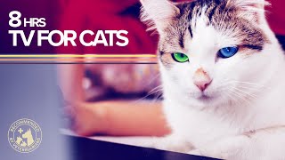 TV for Cats 8 Hours of Visual and Sound Stimulation [upl. by Anerak]