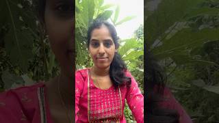 Meru kuda ilaney chesthara … garden gardening organicfarming minivlog women gardeningtips [upl. by Cleave955]