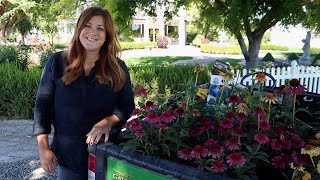 Planting 5 Varieties of Echinacea 🌸🌿💚  Garden Answer [upl. by Darach173]