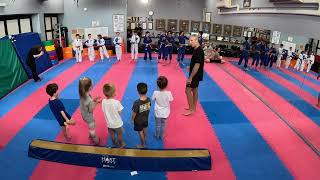 BJJ OR KARATE OR BOTH How do you choose whats right for your child [upl. by Fabe207]