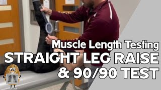 MLT Hamstrings Straight Leg Raise AND 9090 Test [upl. by Bergwall]