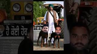 punjabi song music sidhumoosewala justicforsidhu justice4sidhu attitude [upl. by Levine]