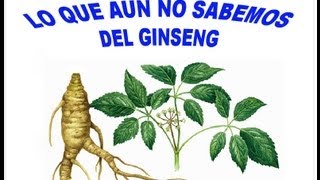 Ginseng Propiedades y Beneficios para la Salud [upl. by Ackler]