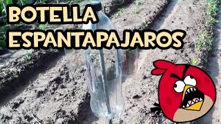 Como hacer una Botella Espantapájaros  Huerto Ecológico [upl. by Ysiad944]