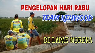 TEAM KENWOOD NGELOP DI LAPAK MORENA DI HARI RABU🔥🔥 [upl. by Edbert]