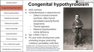 Hypothyroidism Hyperthyroidism and Thyroiditis [upl. by Sirtimid]