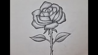 Very easy rose drawing method step by step Easy pencil drawings for beginners [upl. by Nnylatsirk47]