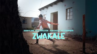 Makhadzi Entertainment  Zwakale feat HarryCane amp Zeze Kingston  DANCE COVER FROM BOTSWANA [upl. by Riplex]