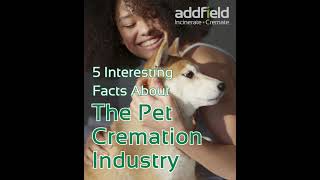 The Pet Cremation Industry  Five Things You Need To Know [upl. by Doersten743]