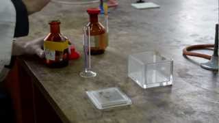 Thin Layer Chromatography TLC [upl. by Amsirahc264]