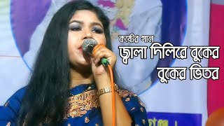 জ্বালা দিলিরে বুকের ভিতর জ্বালা পোড়ার ঘাও বানাইলিরে  তাজমনি সরকার  SV Baul Gaan [upl. by Ahsikym162]