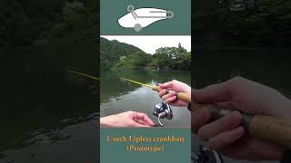 Prototype 1inch lipless crankbait lure fishing handmade [upl. by Koffman]