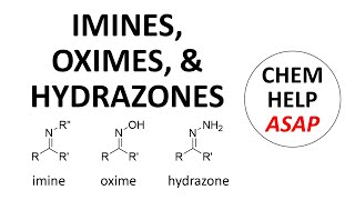 imines hydroxylamines amp hydrazones [upl. by Leitao566]