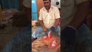 ROSE FISH 🐟 KASIMEDU MINNAL RAJA FISH CUTTING SKILLS fishcutting [upl. by Tnomad]