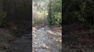 Clean amp Clear Porter Creek November flow [upl. by Omlesna]