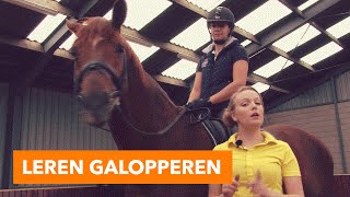 Leren galopperen l PaardenpraatTV [upl. by Durrett595]