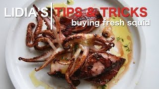 Tips Tricks amp More Buying Fresh Squid Calamari [upl. by Ehtyde947]