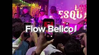 Flow Bélico  Jared Florez  corridos [upl. by Killen]