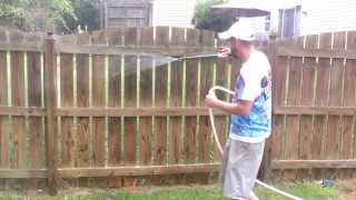 Fence SoftWashed By Precision Pro Wash [upl. by Notnroht739]