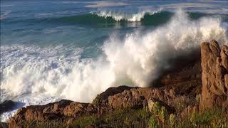 Ocean Waves crashing Sound  Free Sound Effects  Ambient Sounds [upl. by Orv]