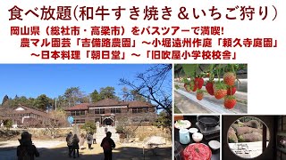 食べ放題和牛すき焼き＆いちご狩り）／岡山県総社市、高梁市を日帰りバスツアーで満喫！ [upl. by Katherina]